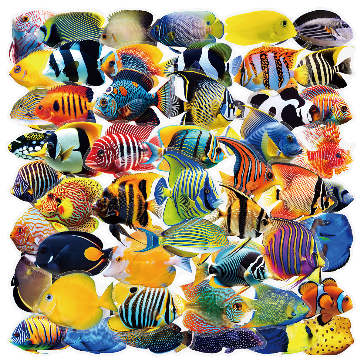 Aquarium Marine Fishes - 50/100 Pcs PET Transparent Marine Fish