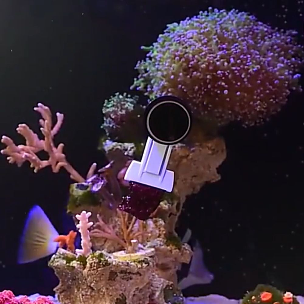 Magnetic Fish Tank Seaweed Veg - Aquarium Marine Services บทวิจารณ์และราคา