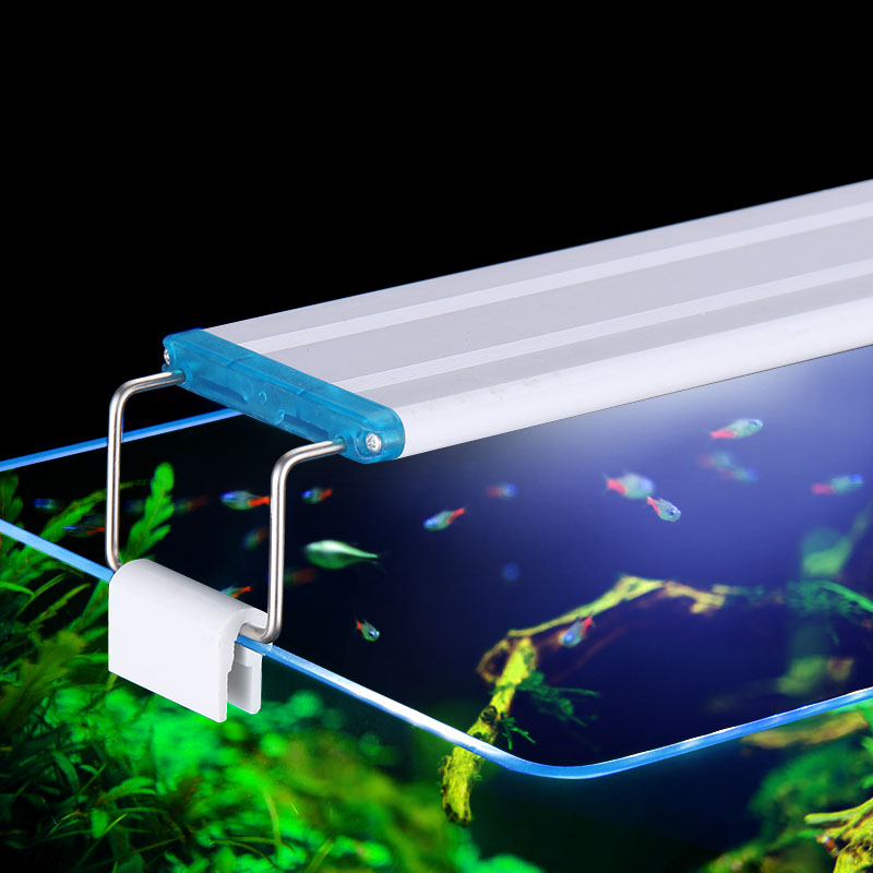 Extensible Waterproof Clip on  - Marine Aquarium Led Lights บทวิจารณ์และราคา