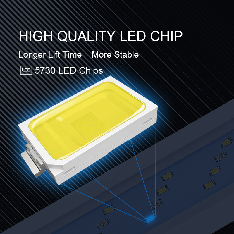 Extensible Waterproof Clip on  - Marine Aquarium Led Lights บทวิจารณ์และราคา