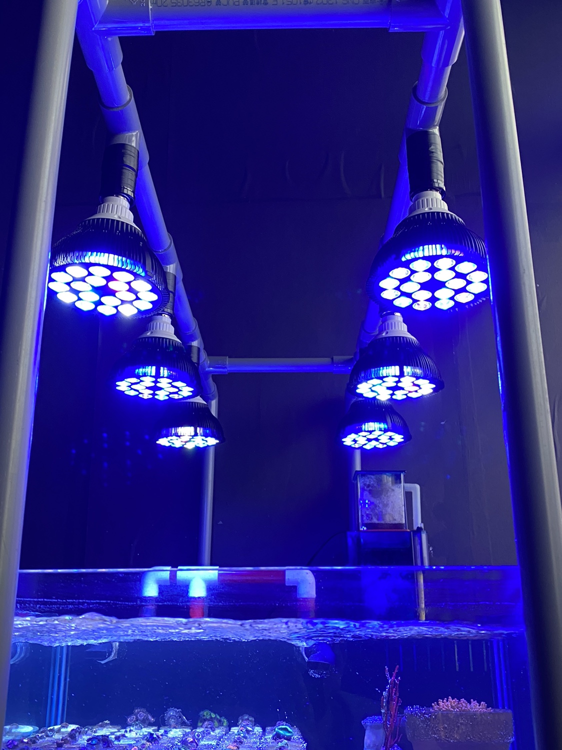 Full specturm LED Aquarium Ree - Marine Aquarium Led Lights บทวิจารณ์และราคา