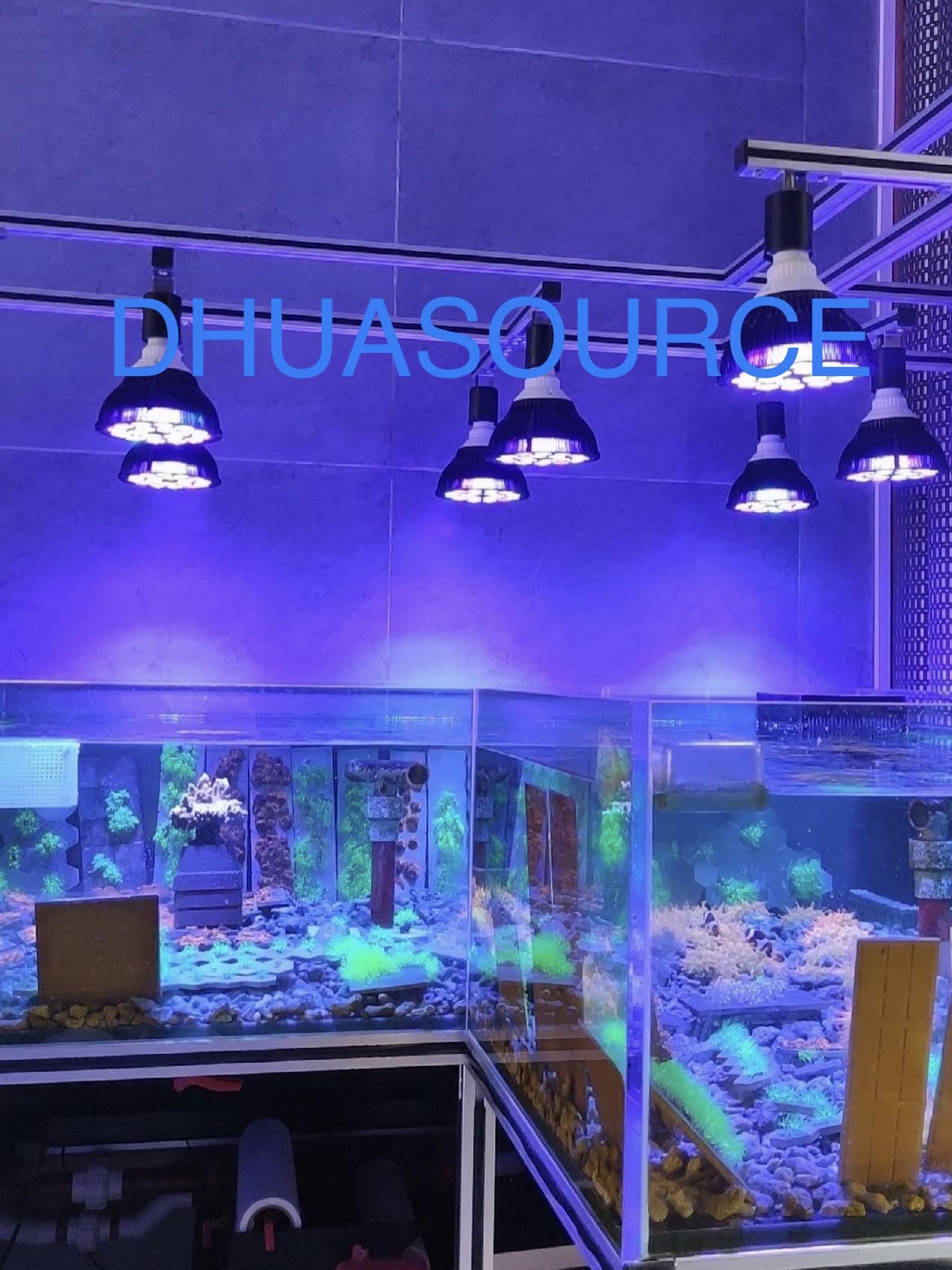 Full specturm LED Aquarium Ree - Marine Aquarium Led Lights บทวิจารณ์และราคา