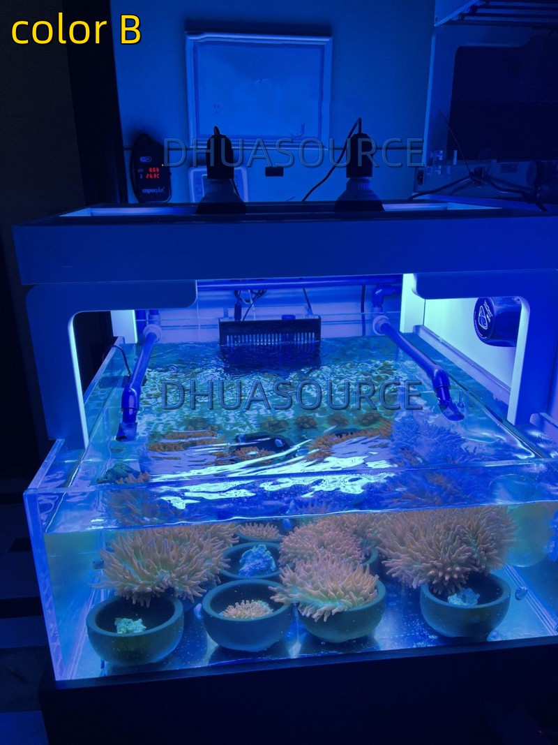 Full specturm LED Aquarium Ree - Marine Aquarium Led Lights บทวิจารณ์และราคา