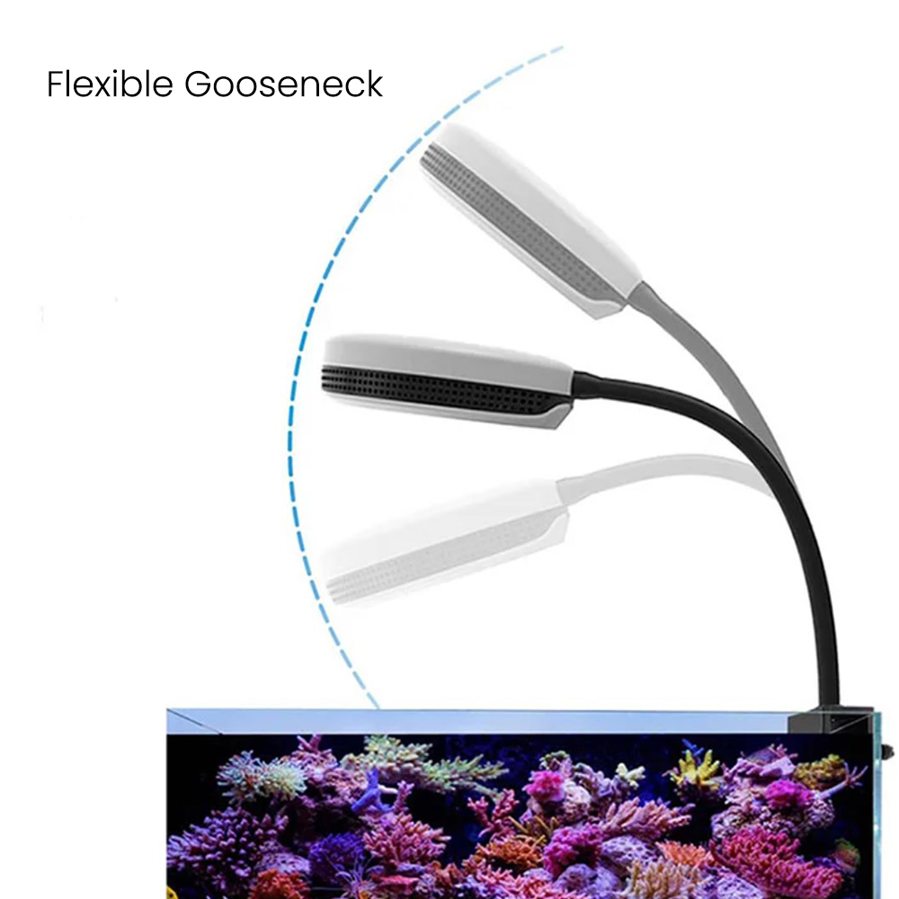 Spectra SP20 110-240V 20W Fres - Aquarium Marine Fishes บทวิจารณ์และราคา