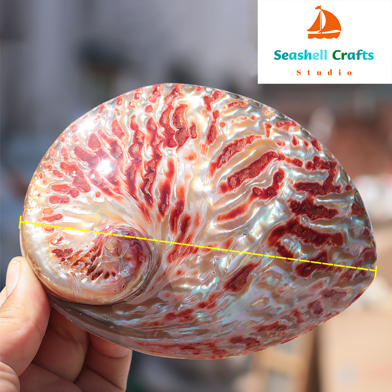Home Decoration Red Pattern Ab - Marine Aquarium Decorations บทวิจารณ์และราคา