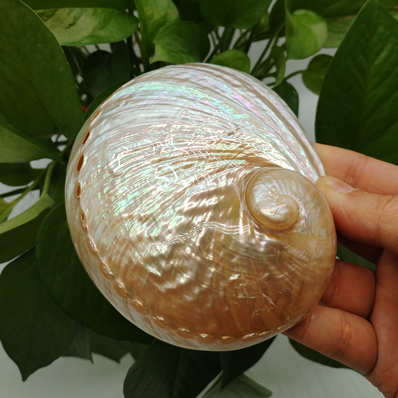 Home Decoration Red Pattern Ab - Marine Aquarium Decorations บทวิจารณ์และราคา