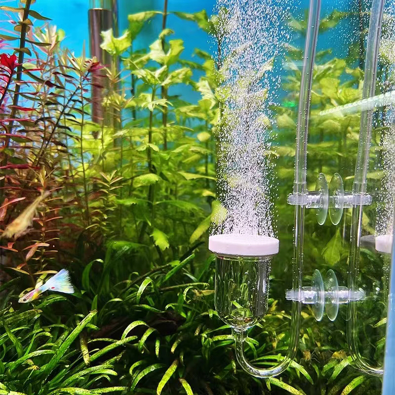 1Set Glass Air Pump Sand Stone - Aquarium Marine Sand บทวิจารณ์และราคา