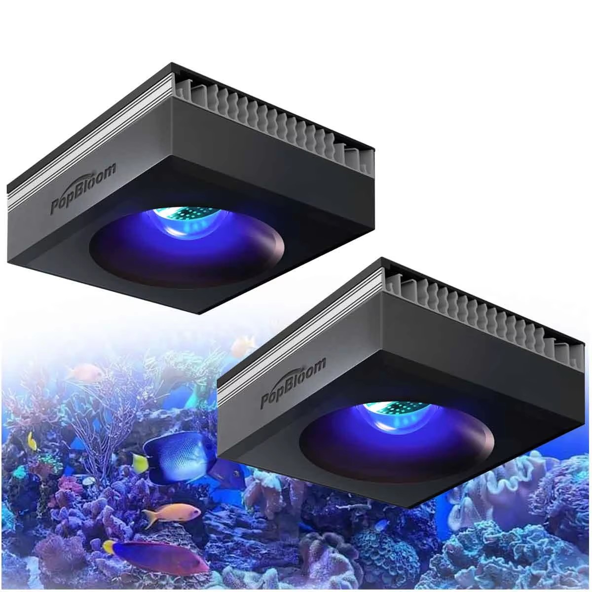 PopBloom RL90 WiFi Reef Aquari - Marine Aquarium Led Lights บทวิจารณ์และราคา