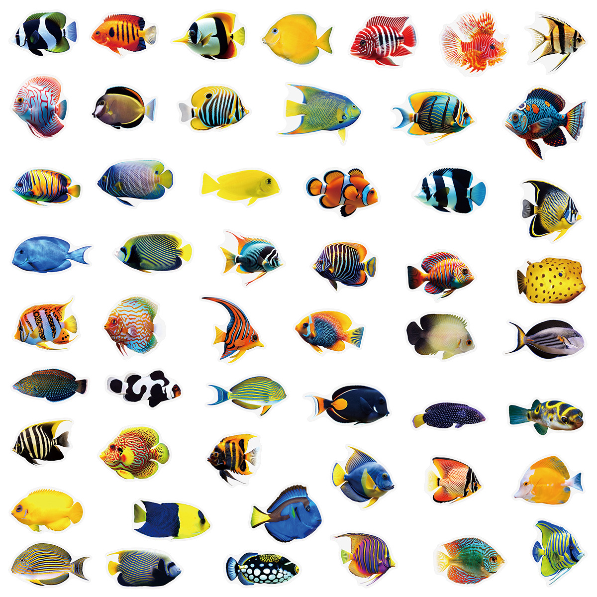 50/100 Pcs PET Transparent Mar - Aquarium Marine Fishes บทวิจารณ์และราคา