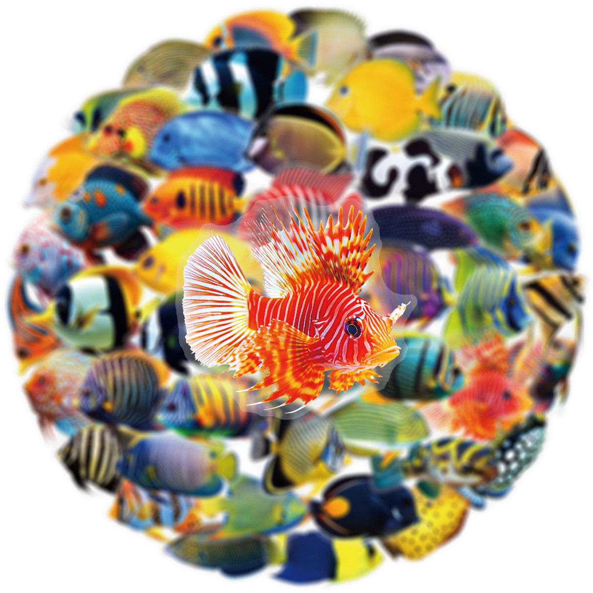 50/100 Pcs PET Transparent Mar - Aquarium Marine Fishes บทวิจารณ์และราคา