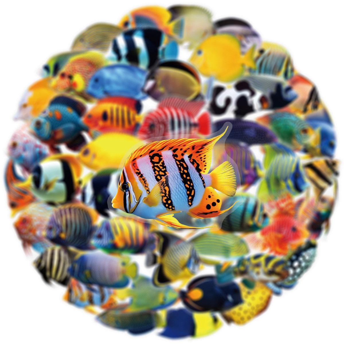 50/100 Pcs PET Transparent Mar - Aquarium Marine Fishes บทวิจารณ์และราคา