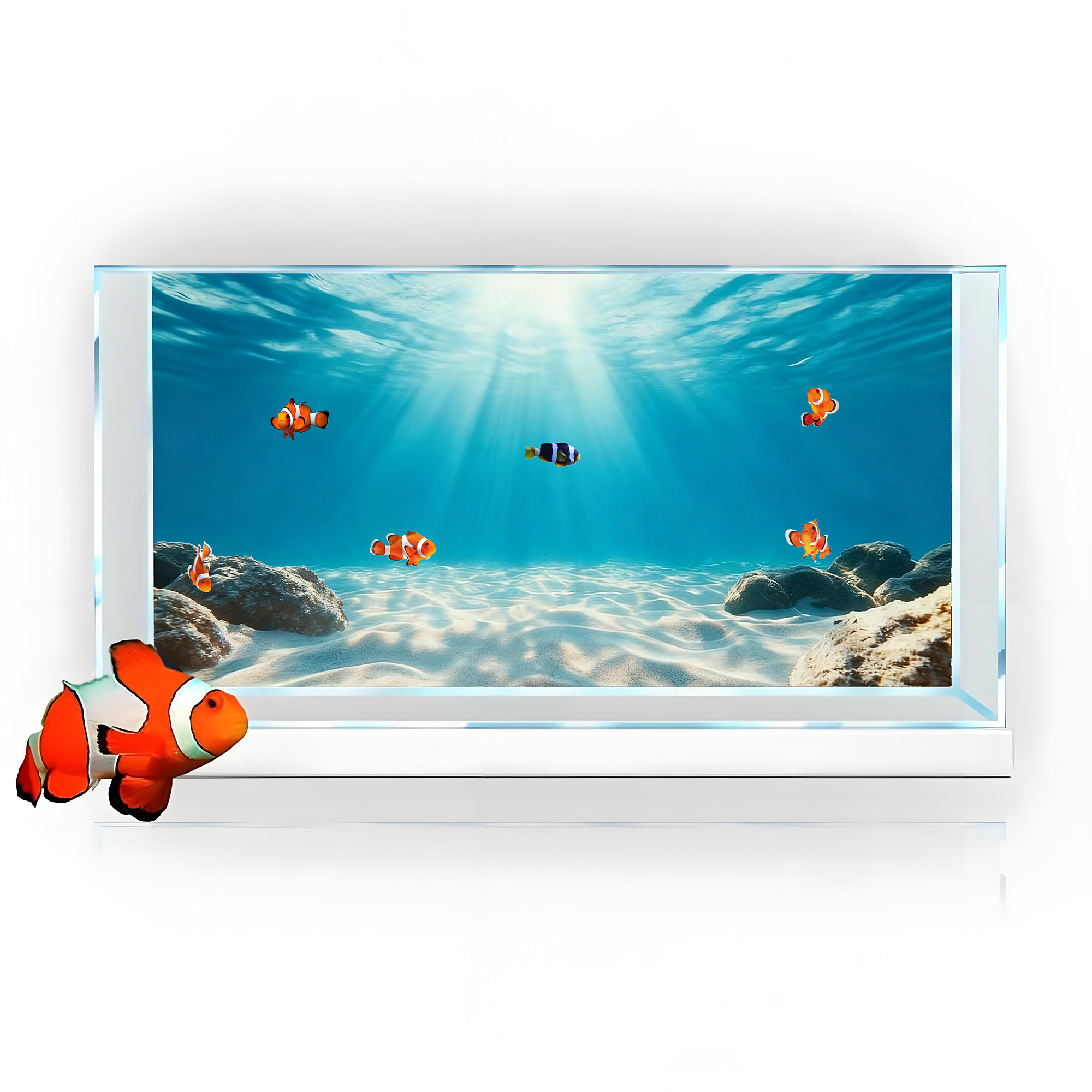 Blue sea clear sand，Fish tank  - Aquarium Marine Sand บทวิจารณ์และราคา
