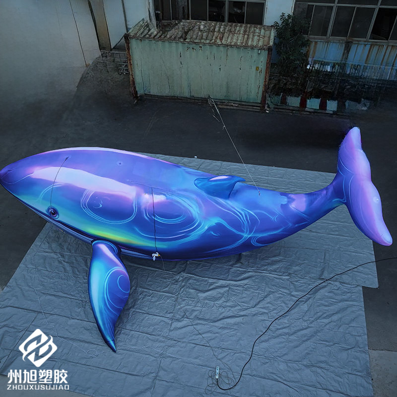 Inflatable blue whale, used as - Marine Aquarium Used บทวิจารณ์และราคา
