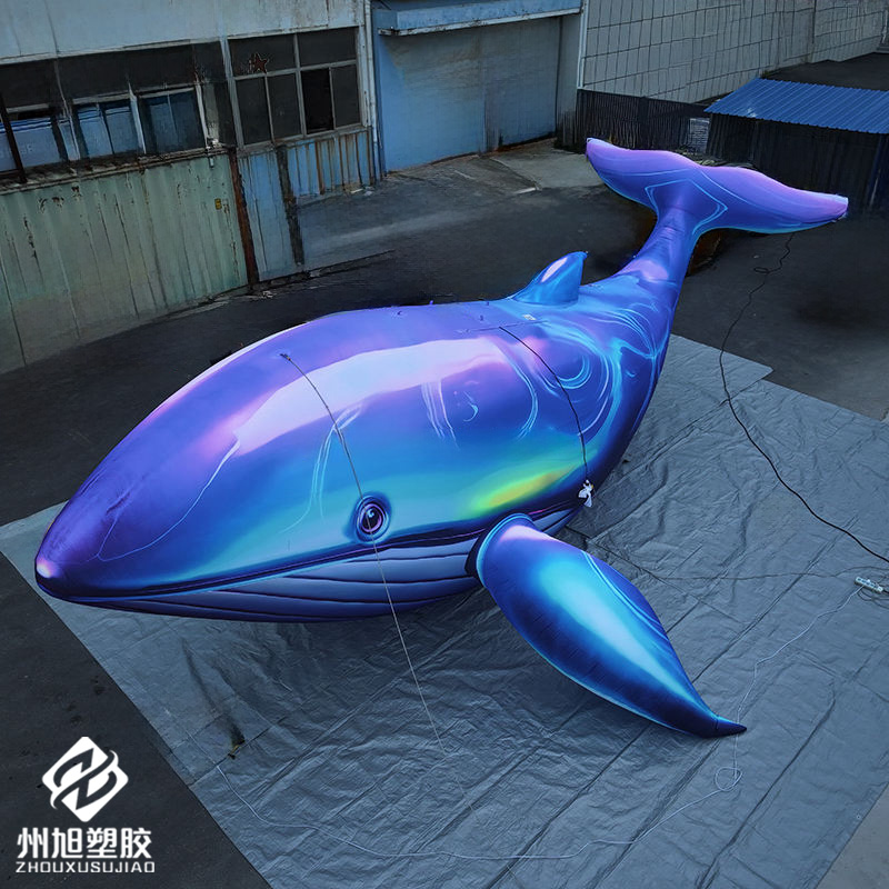 Inflatable blue whale, used as - Marine Aquarium Used บทวิจารณ์และราคา