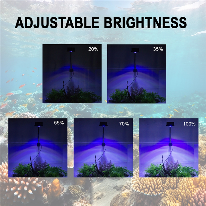 30W Aquarium Fish Tank Sea Wat - Aquarium Marine Fishes บทวิจารณ์และราคา