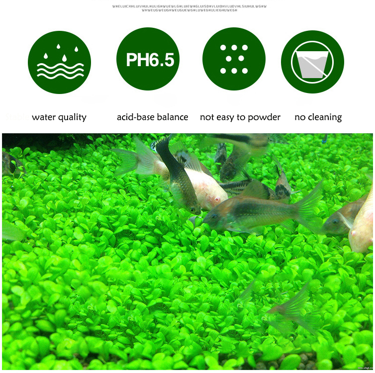 Aquarium Plant Seeds Soil Fish - Aquarium Marine Sand บทวิจารณ์และราคา