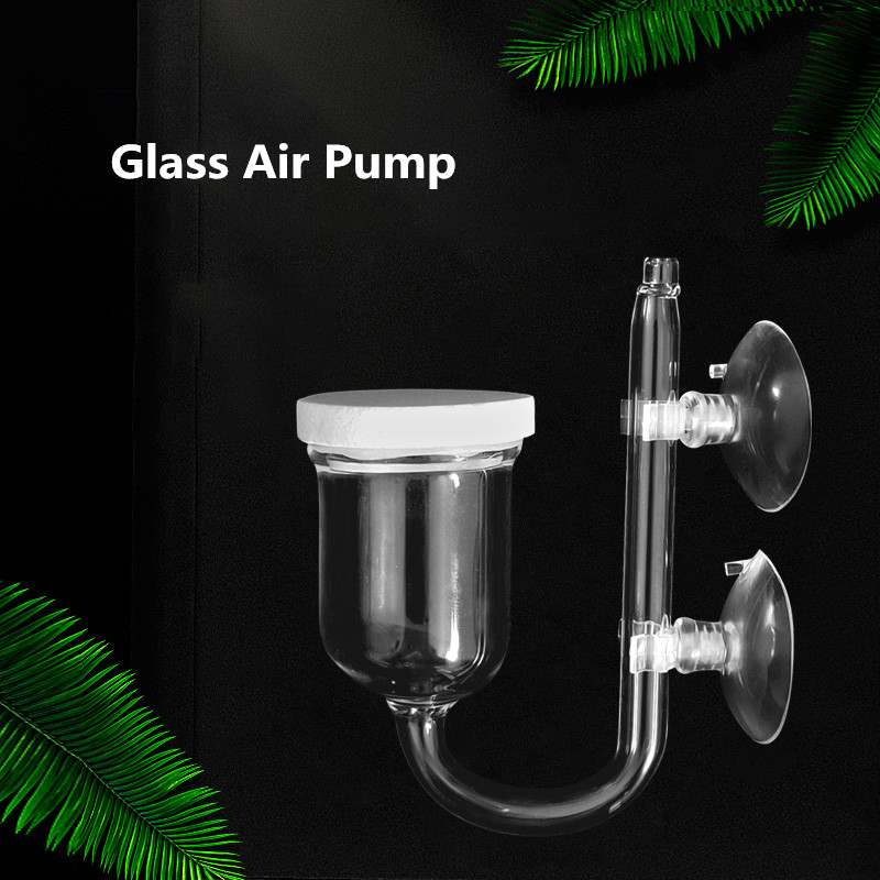 Glass Air Pump Sand Stone Aqua - Aquarium Marine Sand บทวิจารณ์และราคา