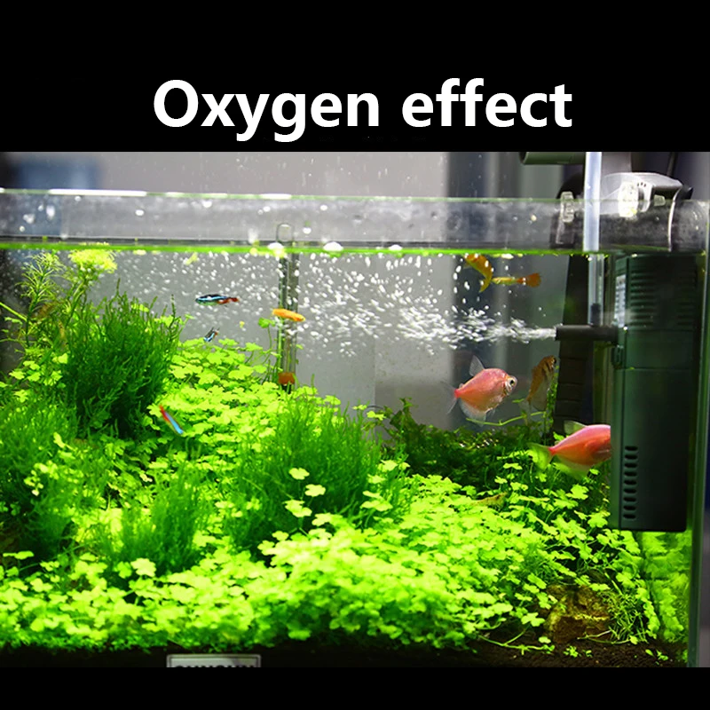 SUNSUN mini nano 111B 311B 611 - Marine Aquarium Reactors บทวิจารณ์และราคา